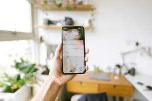 Hånd som holder telefon med varslingspanel og kattebakgrunnsbilde på hjemmekontor. — Mobile Bakgrunner