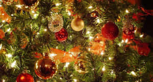 Nærbilde av et pyntet juletre med lys og ornamenter. — Aesthetic Bakgrunner
