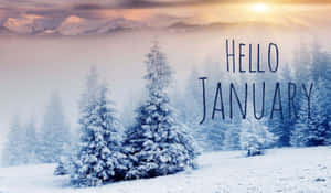Schneebedeckte Kiefern in einem nebligen Tal bei Sonnenaufgang mit Text hallo januar — Computer Wallpaper