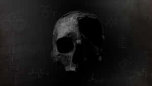A fossilized skull surrounded by chemical equations on a chalkboard. — Death Wallpaper