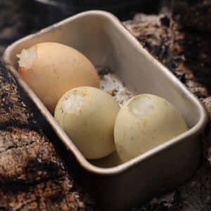 Three eggs cracked open in a metal tray resting on smoldering campfire ashes. — iPad Air 13 Wallpaper