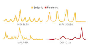 Comparison chart of disease outbreak patterns for measles influenza malaria and covid19. — Yellow Wallpaper