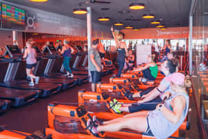 Group of people exercising on treadmills and rowing machines in a gym. — Gym Wallpaper