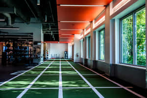 Sunlit green turf track in a modern gym with large windows and orange ceiling. — Gym Wallpaper