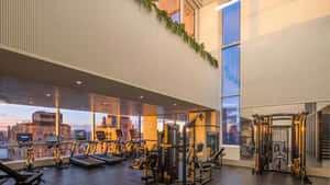 Luxury gym with cardio machines and weights overlooking a city skyline at sunset. — Gym Wallpaper