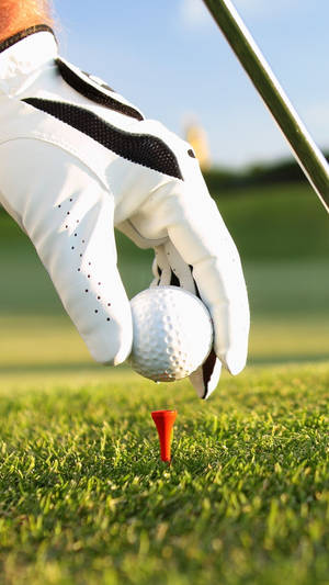 Golfspillers handskeholdte hånd holder golfbold over rød tee på grønt græs. — Golfbane Wallpapers