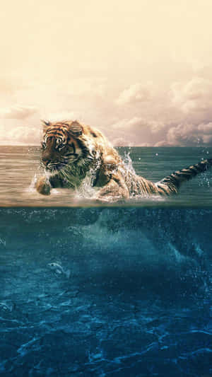A tiger swimming in ocean water with fish below and cloudy sky above. — iPhone 7 Plus Wallpaper
