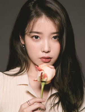 Junge Frau, die in einem Studio-Porträt eine blassrosa Rose nahe an ihre Lippen hält. — Iu Wallpaper