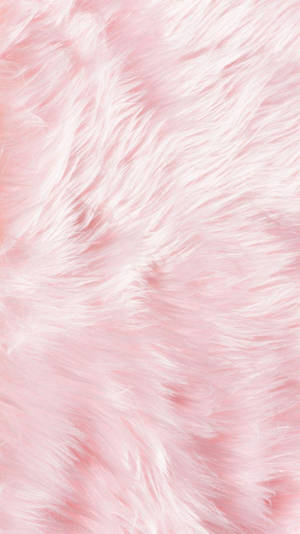 Närbild av fluffig rosa och vit fuskpälsstruktur. — Wave Bakgrundsbilder