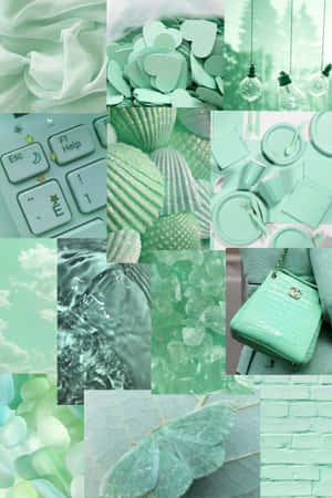 Collage vert menthe avec coquilles en tissu, gouttelettes d'eau, clavier, sac à main et feuilles. — Linux Mint Fonds d'écran