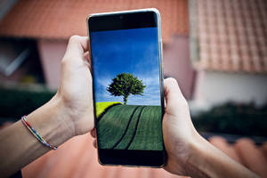 Person holder telefon som viser et ensomt tre på en grønn eng under blå himmel. — Mobile Bakgrunner