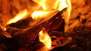 Un pezzo di carta che brucia in un fuoco arancione caldo con fiamme luminose. — Calore Sfondi