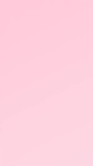 Solid pastel pink gradient background for digital use. — iPhone Wallpaper