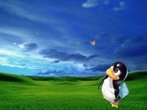 Cartoonpinguïn in een grasveld die naar een vlinder kijkt die in de lucht vliegt. — Linux Os Achtergronden