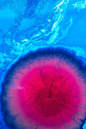 Vibrant abstract fluid art with magenta center and blue swirls — Redmi Wallpaper