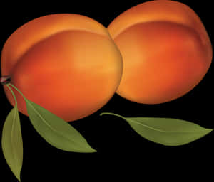 Two ripe apricots with green leaves on a black background. — Fruit Wallpaper