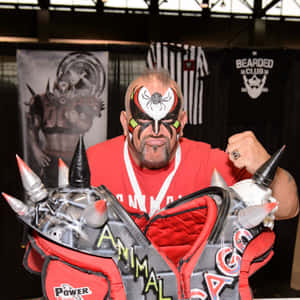 Wrestler i rødt og svart utstyr med edderkoppansiktsmaling og pigget rustning. — Road Warrior Animal Bakgrunner