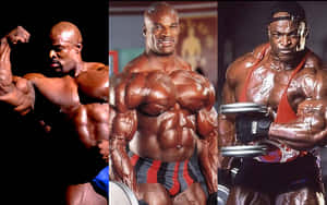 Three bodybuilders flexing muscles in competition poses under dramatic lighting. — Legend Wallpaper