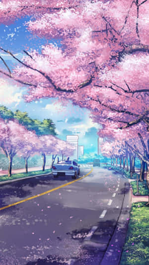 Voiture argentée sur la route sous des cerisiers en fleurs roses au printemps. — Printemps Fonds d'écran