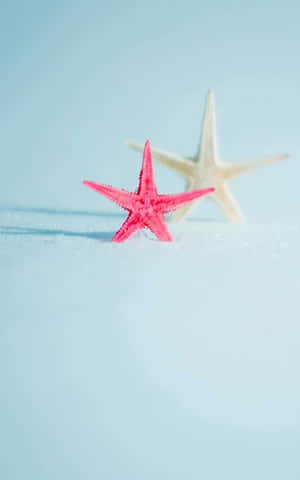 Two starfish on sandy beach under blue sky — Indeed Wallpaper