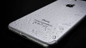 Sølv iPhone med vanddråber på ryggen mod en sort baggrund. — Sølv Wallpapers