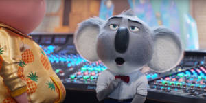 A surprised koala in a white shirt and red bowtie stands behind an audio mixing console. — Koala Wallpaper