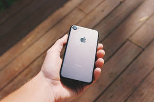 Hand holding silver iPhone 7 on wooden deck in sunlight — iPhone 8 Wallpaper