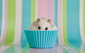 Un piccolo criceto bianco che sbircia da un pirottino per cupcake blu su una superficie rigata colorata. — Cupcake Sfondi