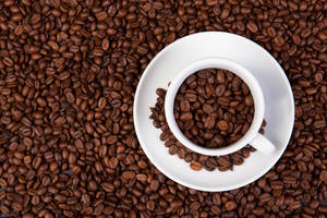 Tasse et soucoupe blanches remplies de grains de café entourées de grains torréfiés. — Image Fonds d'écran