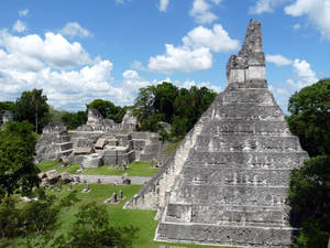 Forntida mayastenpyramidruiner omgivna av grön djungel under en blå himmel. — Moln Bakgrundsbilder