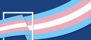 Transgender pride flag flowing through a white picture frame on blue background. — Identity Wallpaper