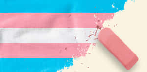 Pink eraser erasing pink stripe of trans flag on beige background — Identity Wallpaper