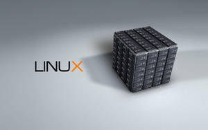 Linux-logo naast een kubus van serverracks op een grijze achtergrond. — Linux Os Achtergronden