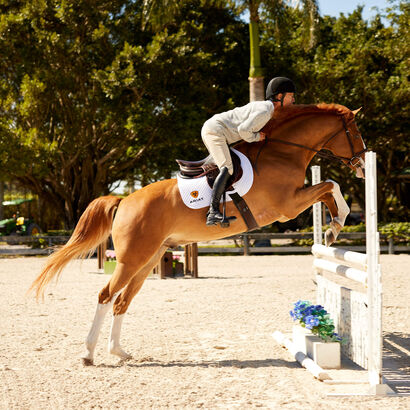 Devon Tall Riding Boot Lifestyle