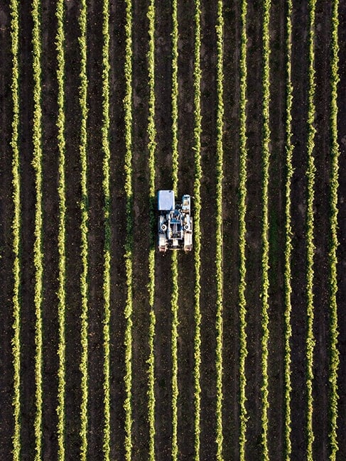 Flygvy över en traktor som arbetar mellan prydliga rader av grödor på en åkermark