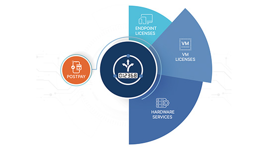 FortiFlex allows customers to flexibly adopt endpoint licenses, VM licenses, and hardware services through a points-based program