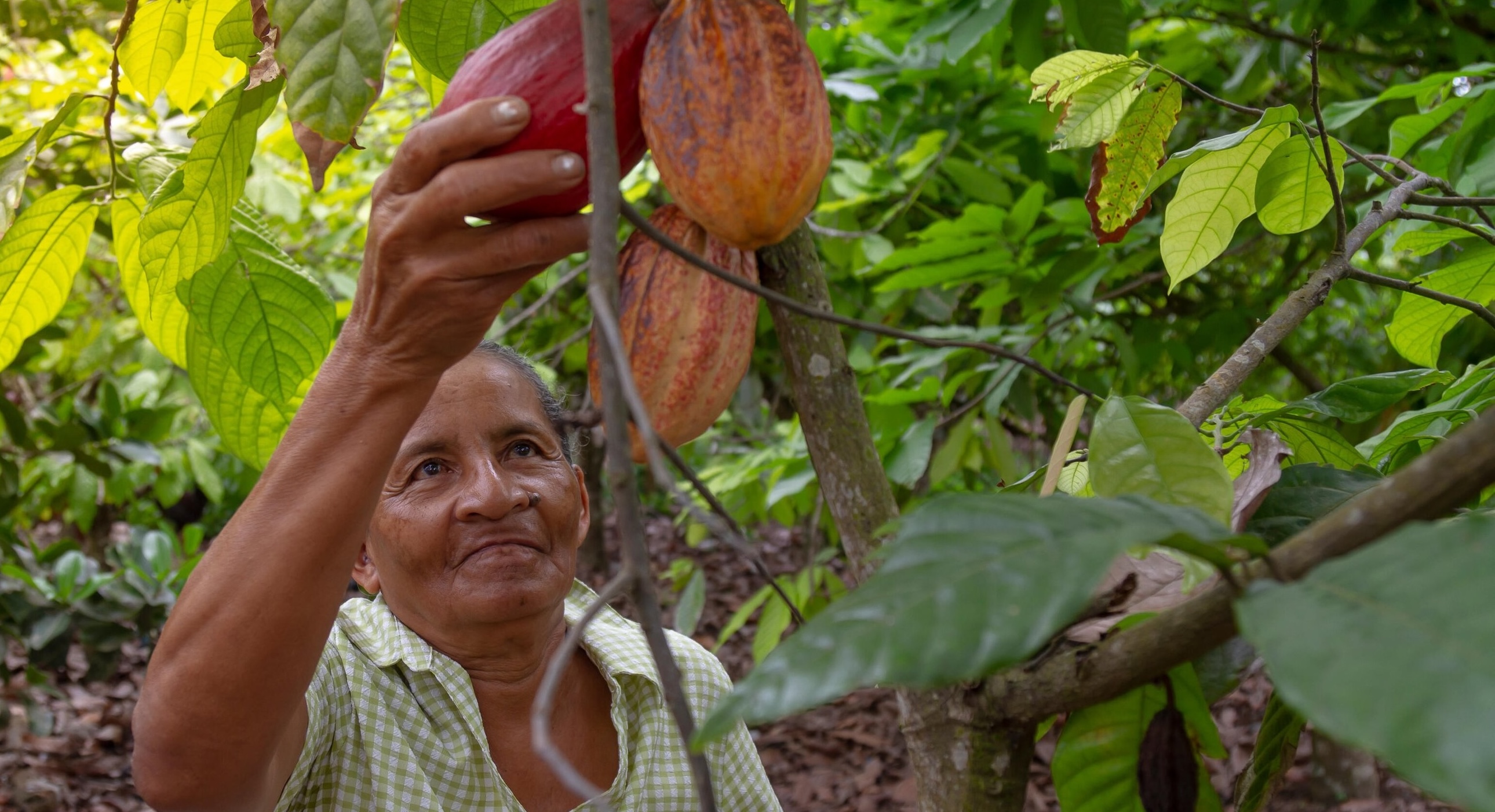 Artigo em destaque: saiba como a IA e os dados geoespaciais estão transformando o fornecimento sustentável.