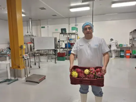 Diversificación de productos La empresa Pita Depot de Costa Rica SRL recibe la asesoría de la carrera de Ingeniería en …